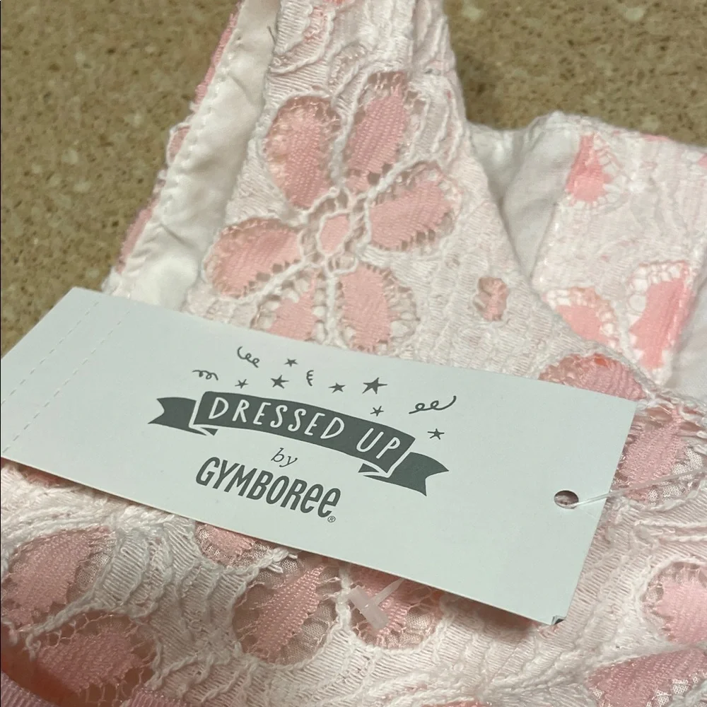 Gymboree Pink and White Floral Lace Dress